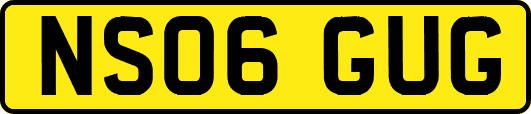 NS06GUG