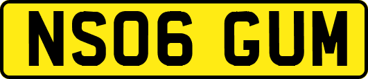 NS06GUM