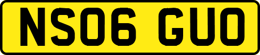 NS06GUO