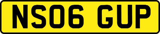 NS06GUP