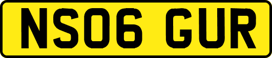 NS06GUR