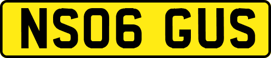 NS06GUS