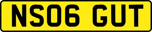 NS06GUT