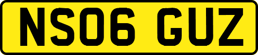NS06GUZ