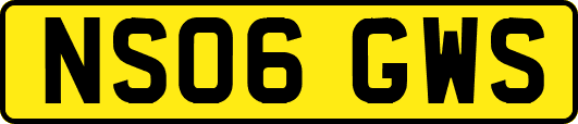 NS06GWS
