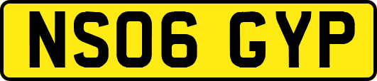 NS06GYP