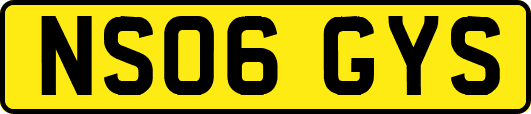 NS06GYS