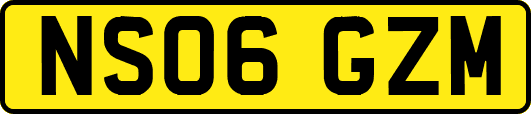 NS06GZM
