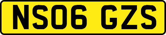 NS06GZS