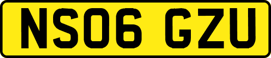 NS06GZU
