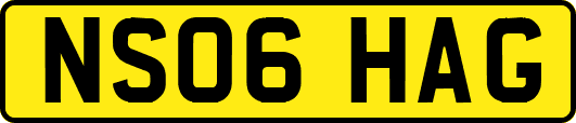 NS06HAG