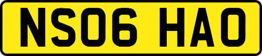 NS06HAO