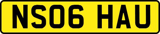 NS06HAU