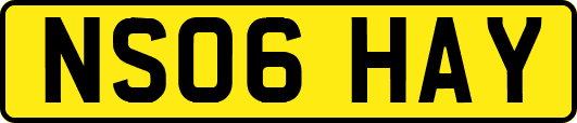 NS06HAY