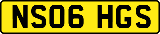 NS06HGS
