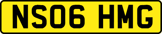NS06HMG
