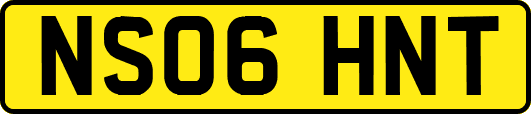 NS06HNT