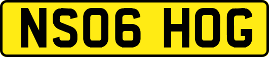 NS06HOG