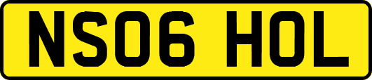 NS06HOL