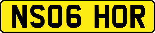 NS06HOR