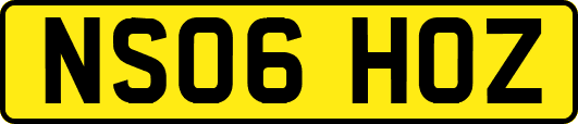 NS06HOZ