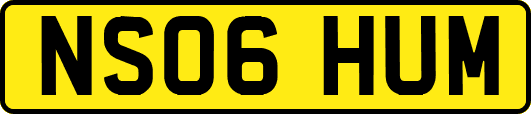 NS06HUM