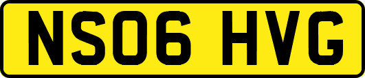 NS06HVG