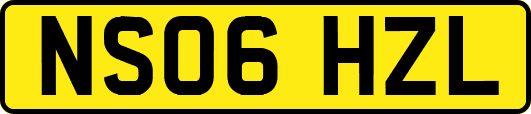 NS06HZL