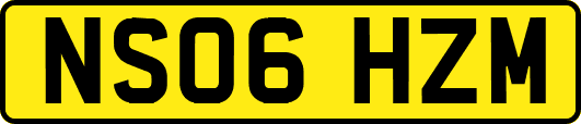 NS06HZM
