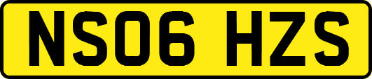 NS06HZS