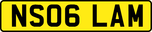 NS06LAM
