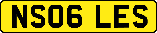 NS06LES