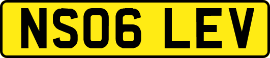 NS06LEV