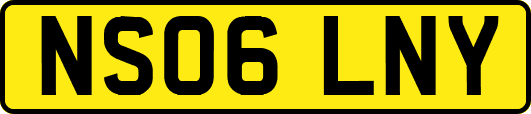 NS06LNY