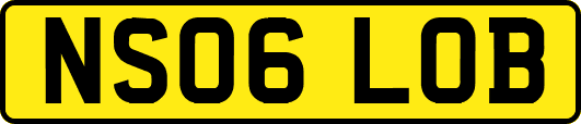 NS06LOB