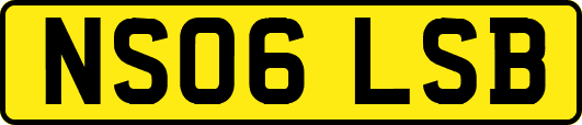 NS06LSB