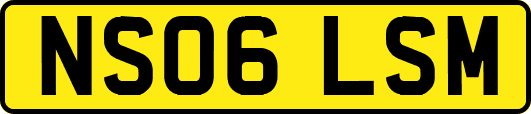 NS06LSM