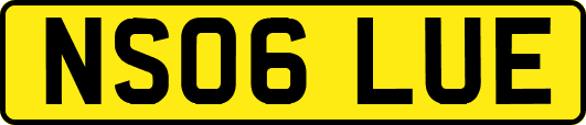 NS06LUE
