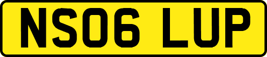 NS06LUP