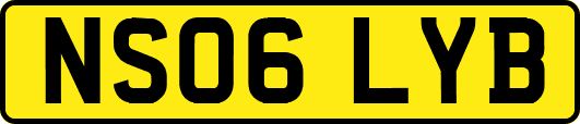 NS06LYB