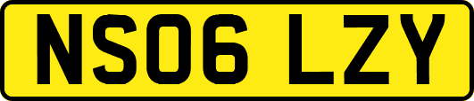 NS06LZY