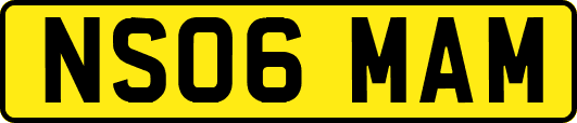 NS06MAM