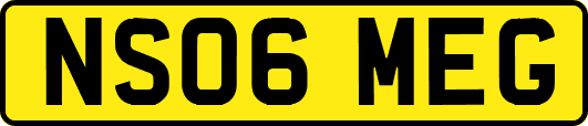 NS06MEG