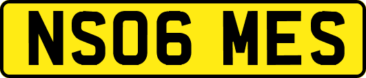 NS06MES