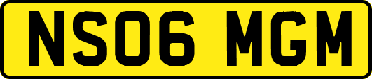NS06MGM