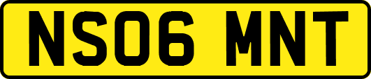 NS06MNT