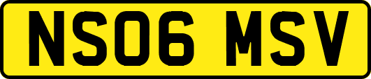 NS06MSV