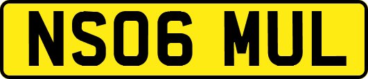 NS06MUL