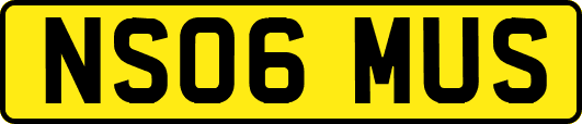 NS06MUS