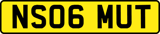 NS06MUT